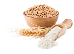 Benfotiamine Vitamin B1 ingredient in SciatiEase