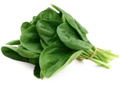 R-Alpha Lipoic Acid ingredient in SciatiEase